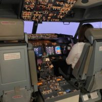 Fear of Flying Simulator